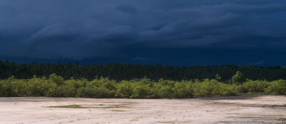 Storm on the Horizon